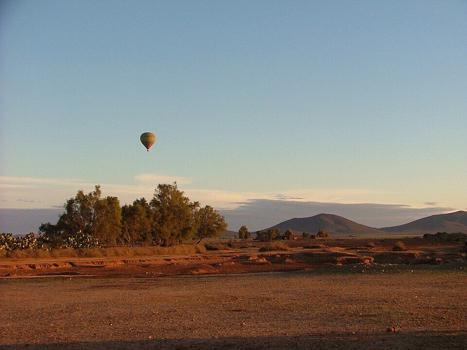 Gallery Photo